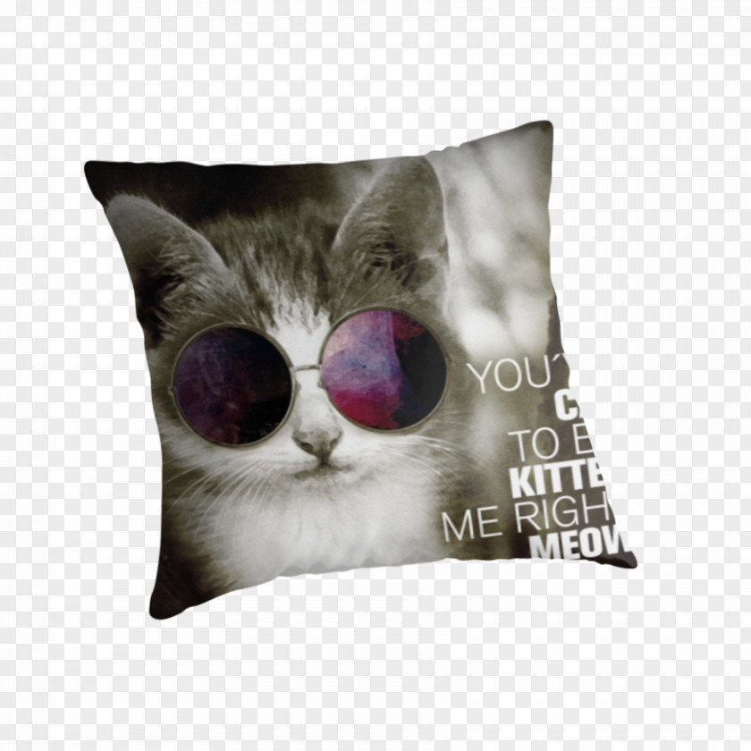 Cat Whiskers Kitten Throw Pillows PNG