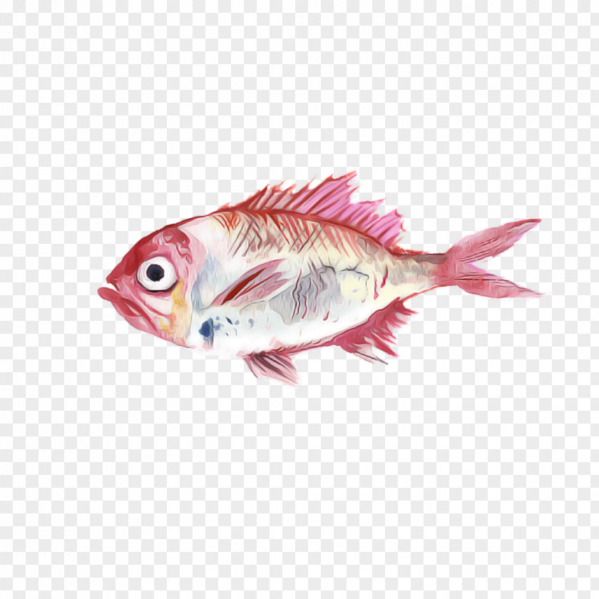 Fish Pink Feeder Products PNG