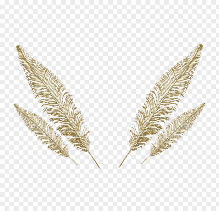Four Feathers Feather Euclidean Vector PNG