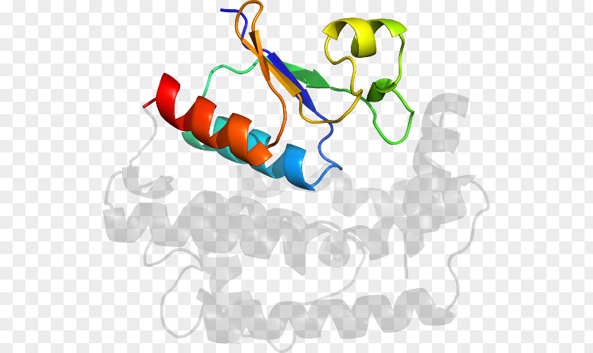 Line Organism Clip Art PNG