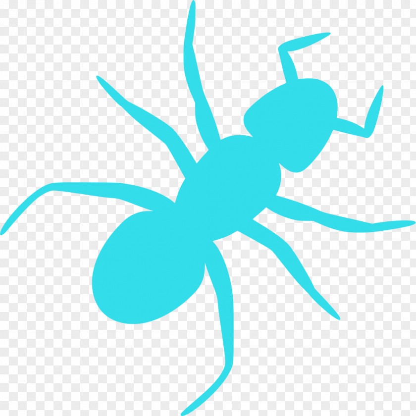 Parasite Turquoise Ant Cartoon PNG