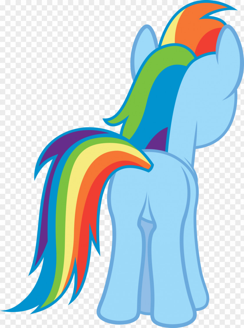 Puss Pony Rainbow Dash DeviantArt Illustration Image PNG