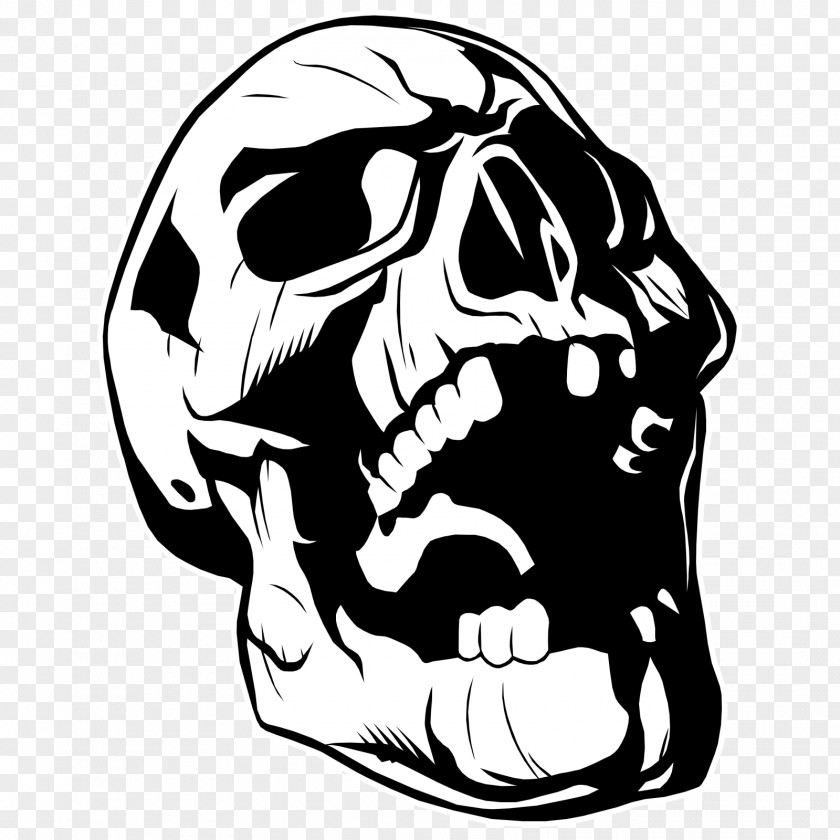 Skulls Line Art Drawing Clip PNG