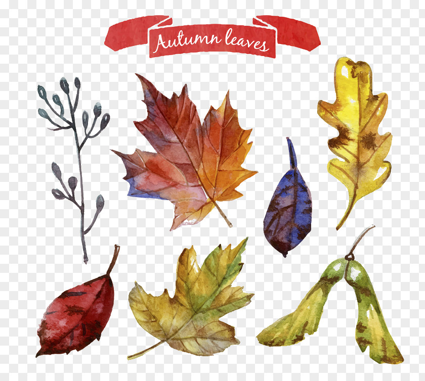 Autumn Leaves Wreath Vector Material PNG
