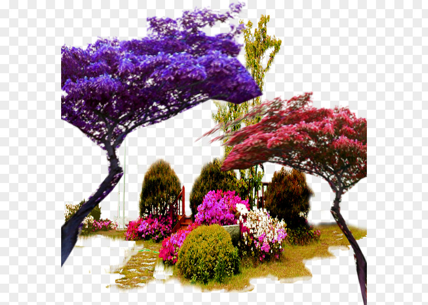 Color Garden Trees In Kind PNG
