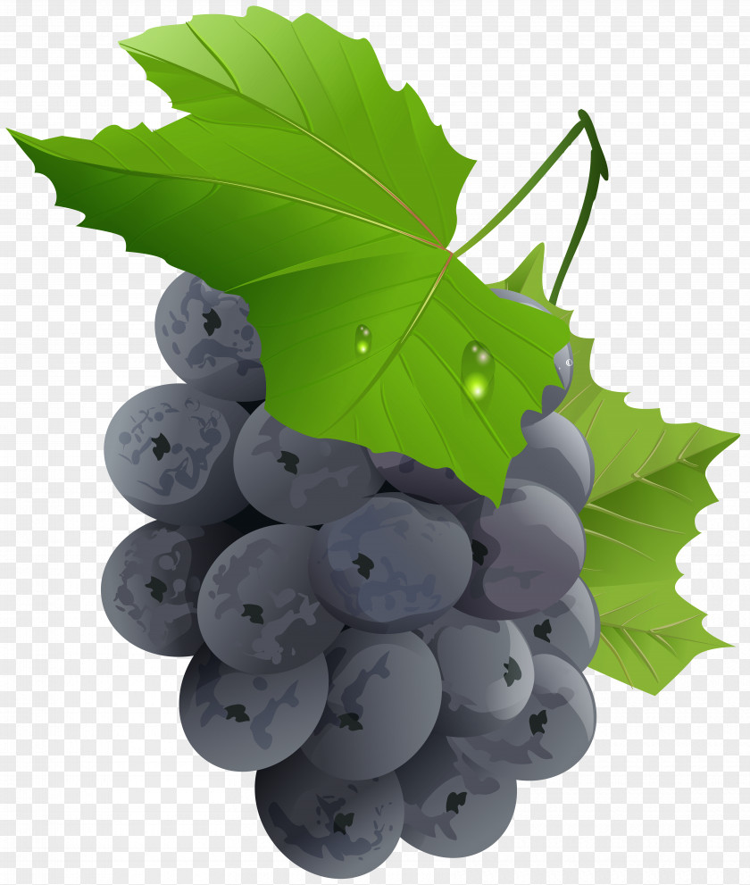 Grapes Transparent Clip Art Image Grape Fruit Vegetable PNG