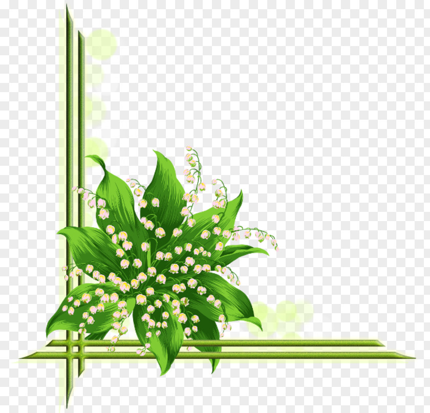 Lily Of The Valley Flower Poppy Clip Art PNG