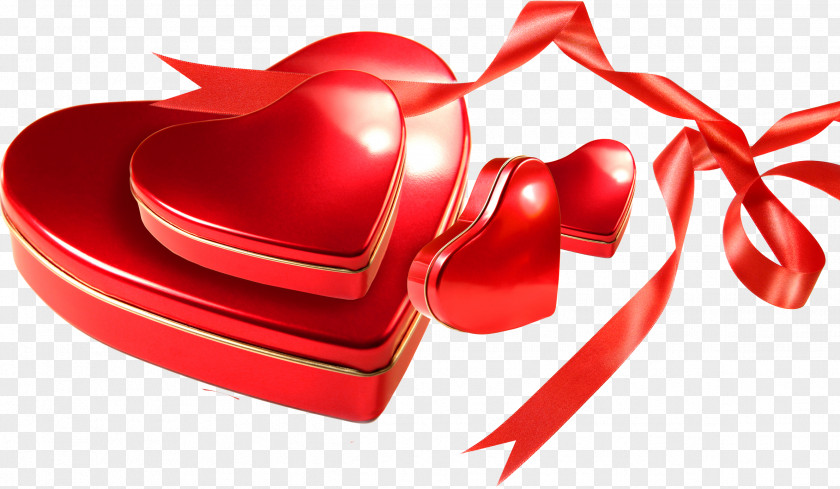 Valentine's Day Poemas De Amor Gift Heart PNG