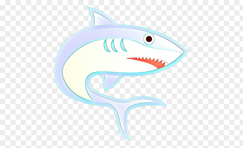 Bull Shark Smile Great White Background PNG