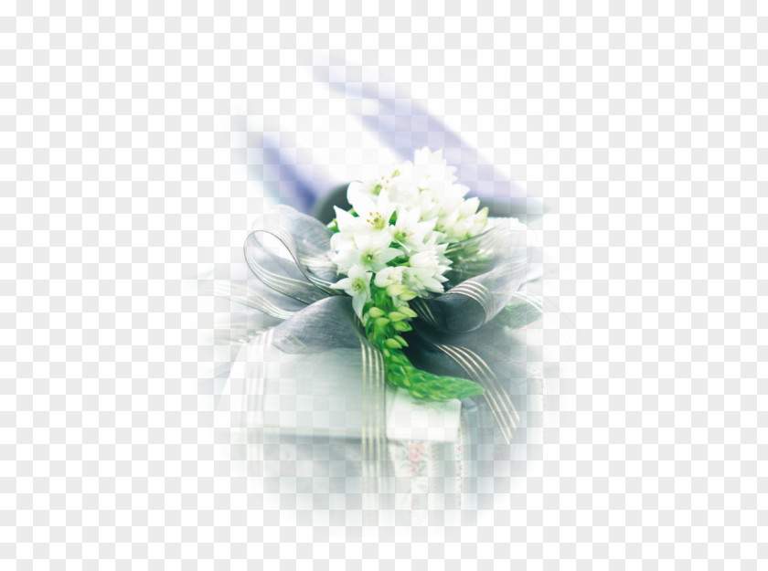 Flower Floral Design Desktop Wallpaper Cut Flowers Gift PNG