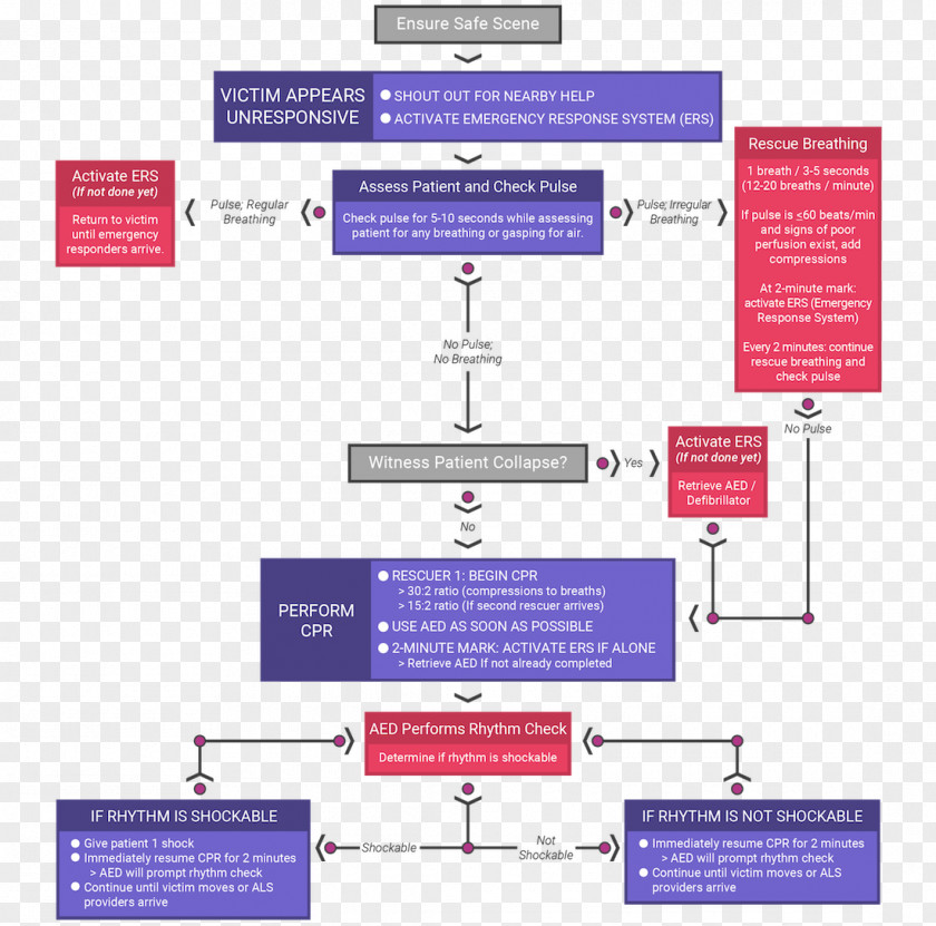 Pediatric Basic Life Support Advanced Pediatrics PNG