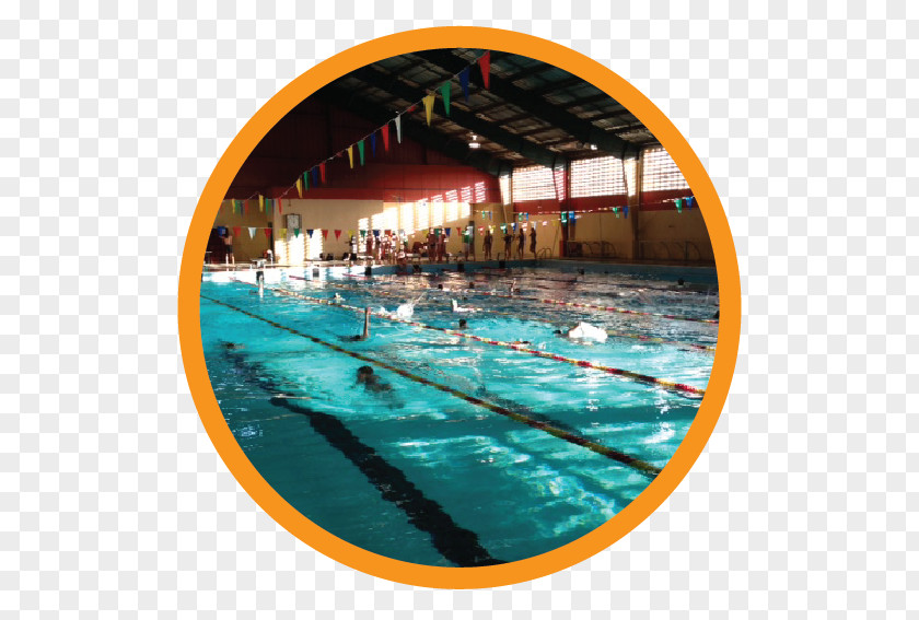 Sports Activities Swimming Pool Sport Natatorium Trujillo Alto PNG