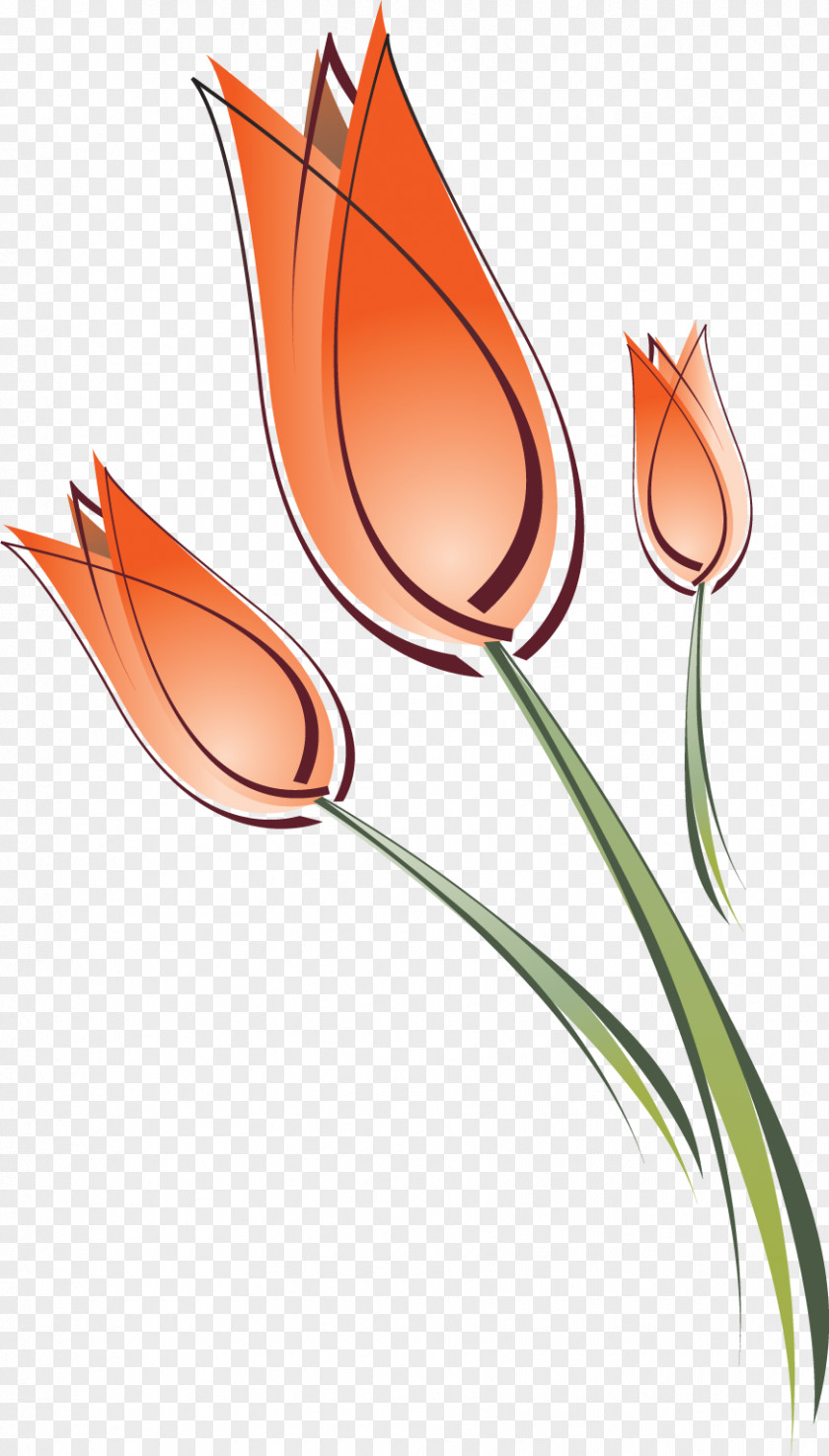 Tulip Clip Art Drawing Flower PNG