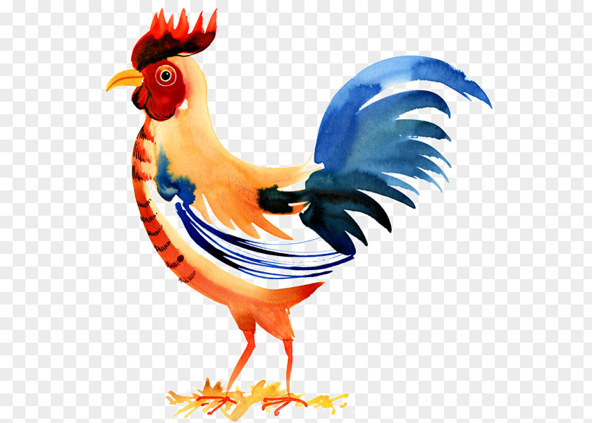 Art Livestock Chicken Cartoon PNG