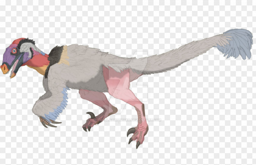 Bird Velociraptor Deinonychus Tyrannosaurus Feather PNG