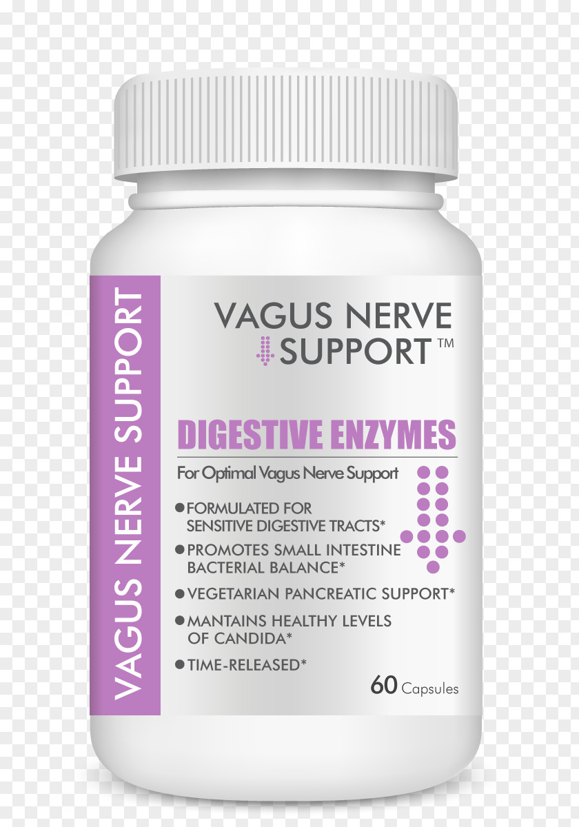 Digestive Enzyme Vagus Nerve Parasympathetic Nervous System Acetylcholine PNG
