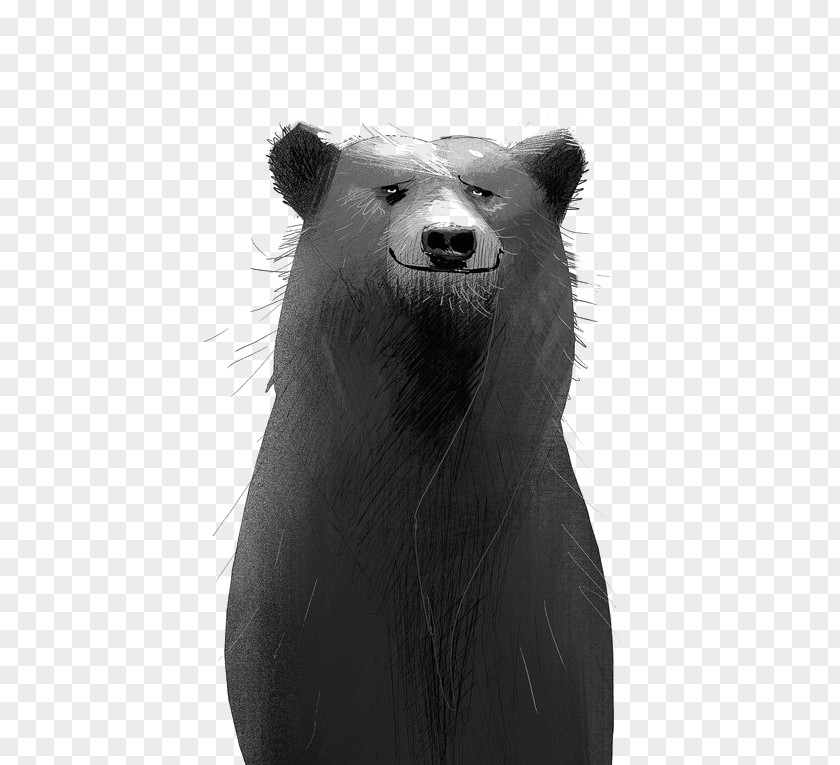 Grizzly Bear Illustration PNG