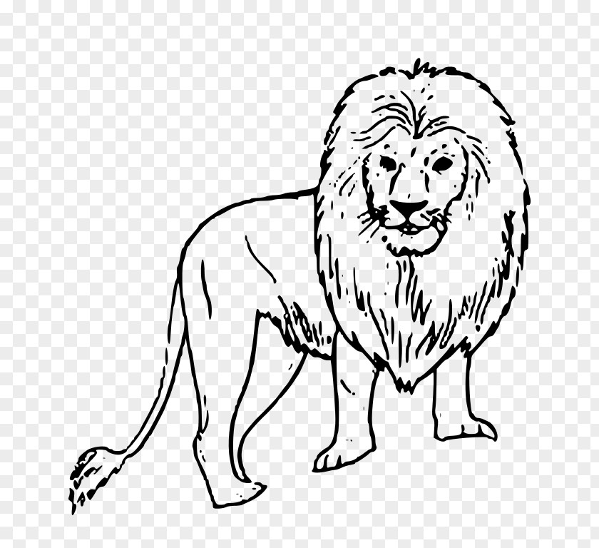 Lion Drawing Black And White Clip Art PNG