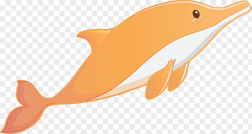 Orange PNG