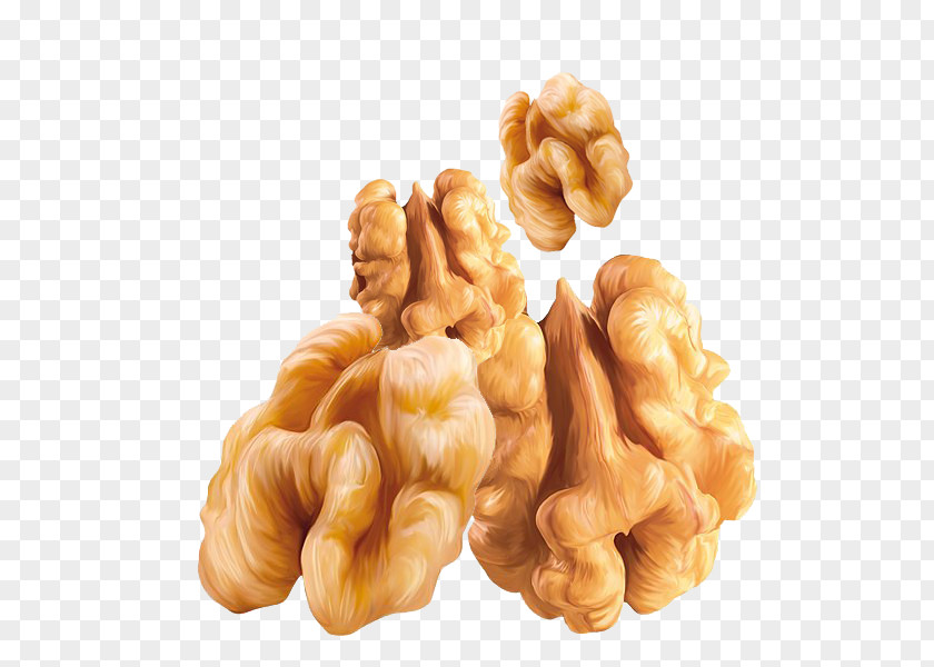 Four Walnuts Walnut Peanut PNG