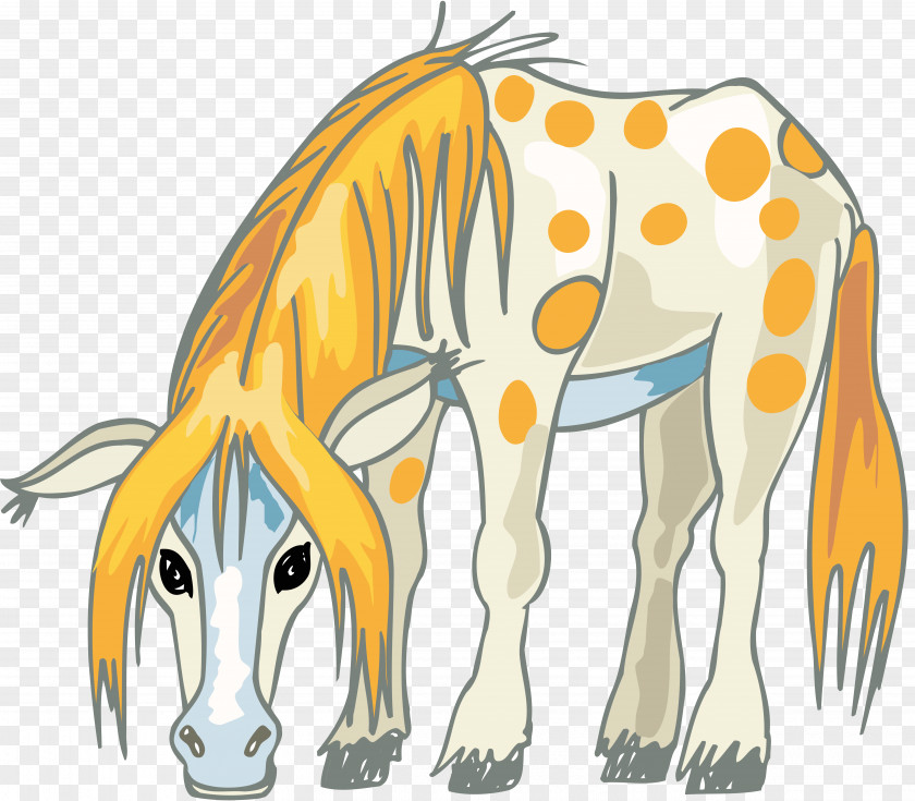 Mustang Mane Pony Lion Clip Art PNG
