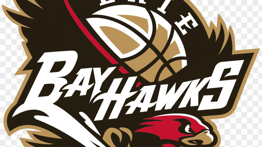 Orlando Magic Erie BayHawks NBA Development League Insurance Arena Atlanta Hawks Oklahoma City Blue PNG