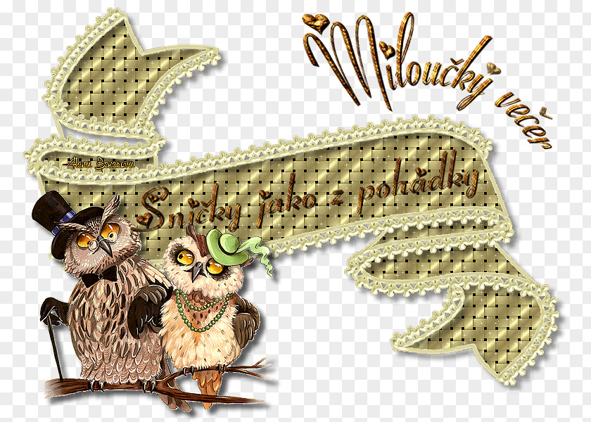 Owl Cross-stitch Mr. Mrs. PNG
