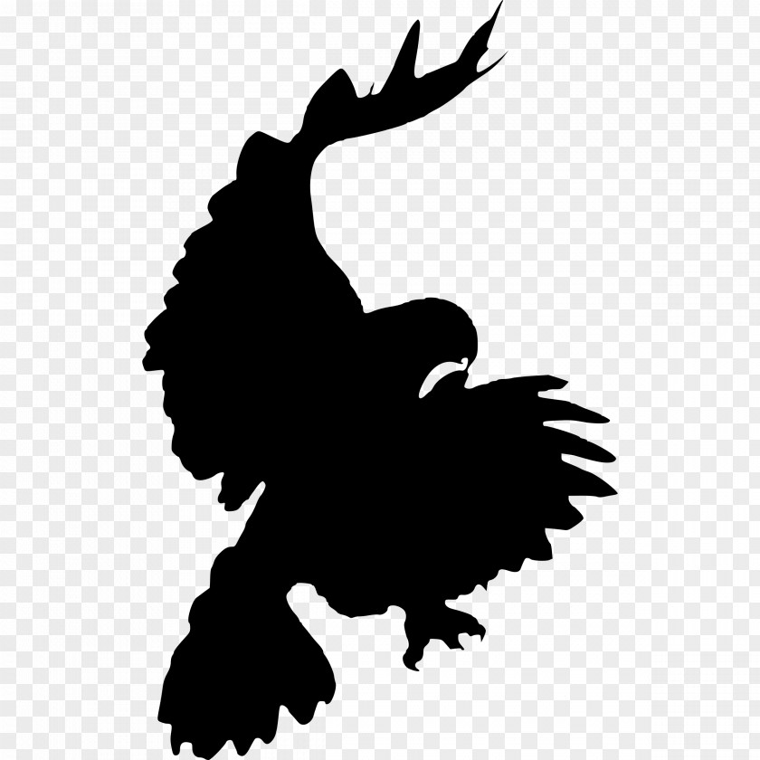 Raven Bird Red-tailed Hawk Clip Art PNG