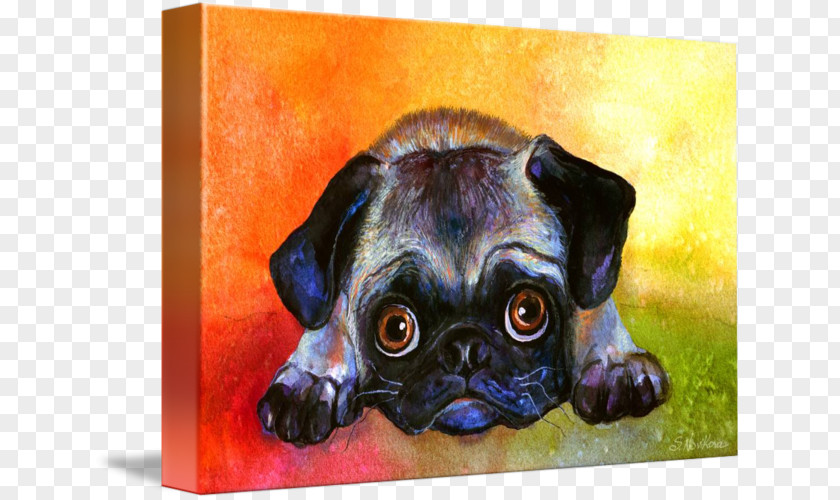 The Dog Painted Pug Puppy Shih Tzu Painting Breed PNG