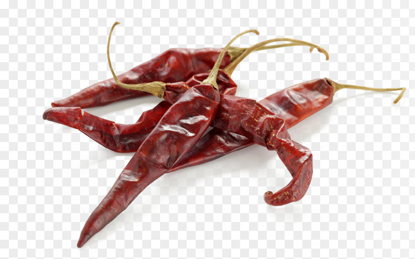 Dark Red Pepper HD Photography Picture Chile De Xe1rbol Guajillo Chili Chiles En Nogada Pasilla PNG