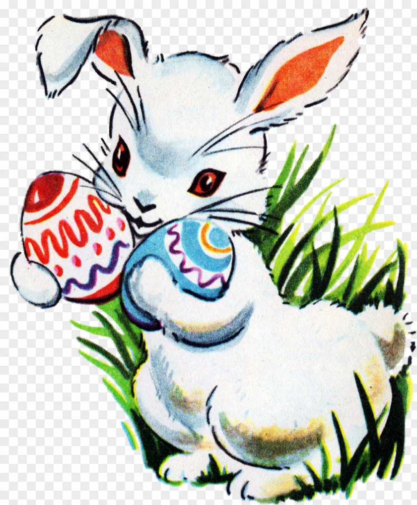 Easter Bunny Illustration Clip Art Whiskers PNG