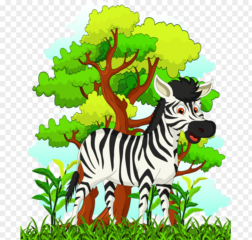 Forest Zebra Cartoon Drawing Illustration PNG