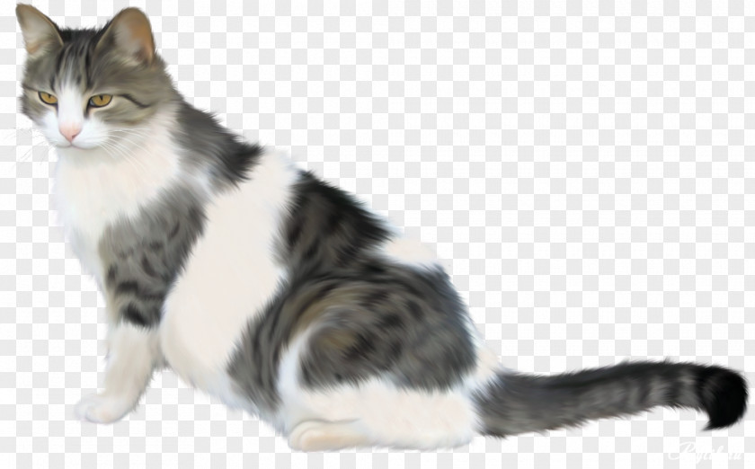 Kedi Ve Kuru Fare Clip Art Siamese Cat Image European Shorthair PNG