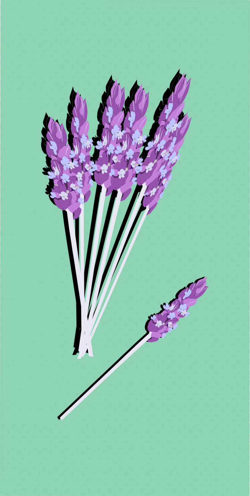 Lavender English PNG