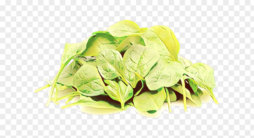 Leaf Plant Food Flower Vegetable PNG