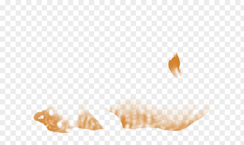 Lion Seashell Conch Desktop Wallpaper Computer PNG