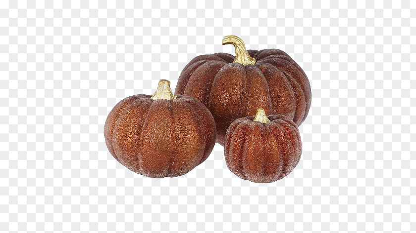 Pumpkin Calabaza Gourd Winter Squash PNG