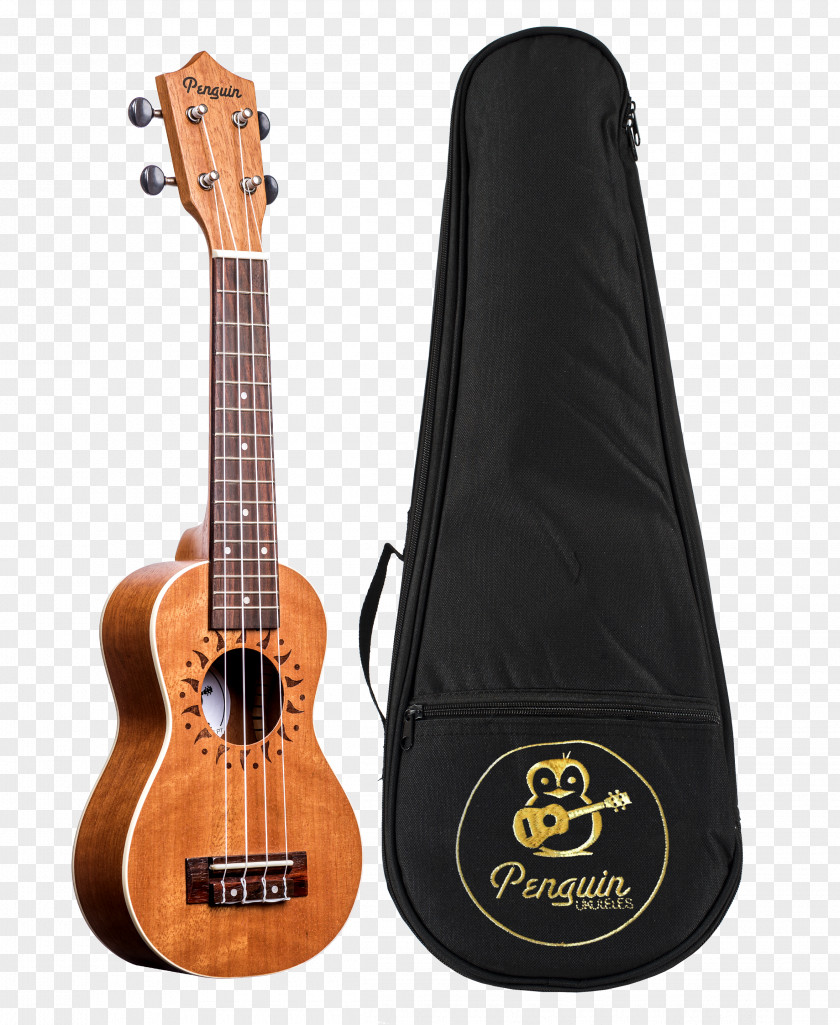 Acoustic Guitar Ukulele Bass Tiple Cavaquinho PNG