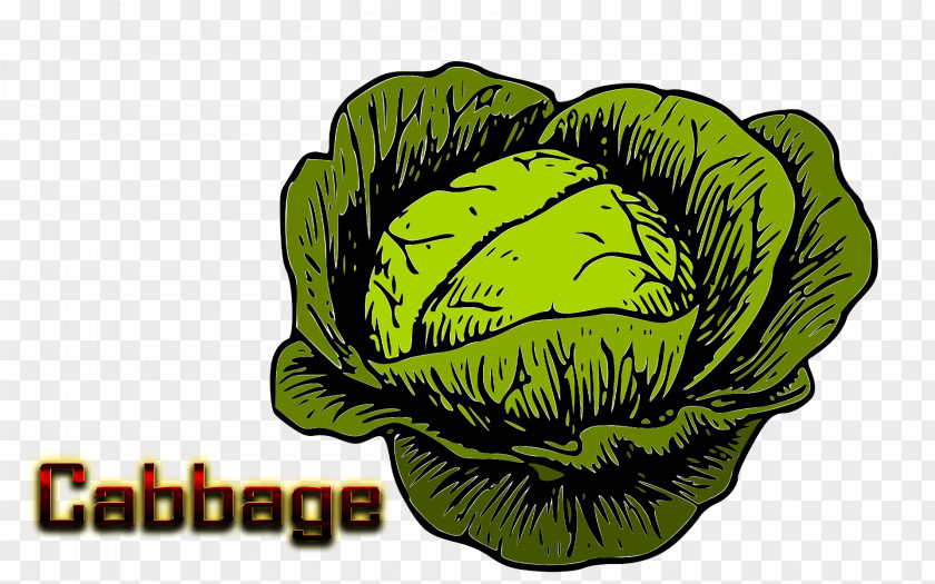 Cabbage Roll Malfouf Salad Clip Art Openclipart PNG
