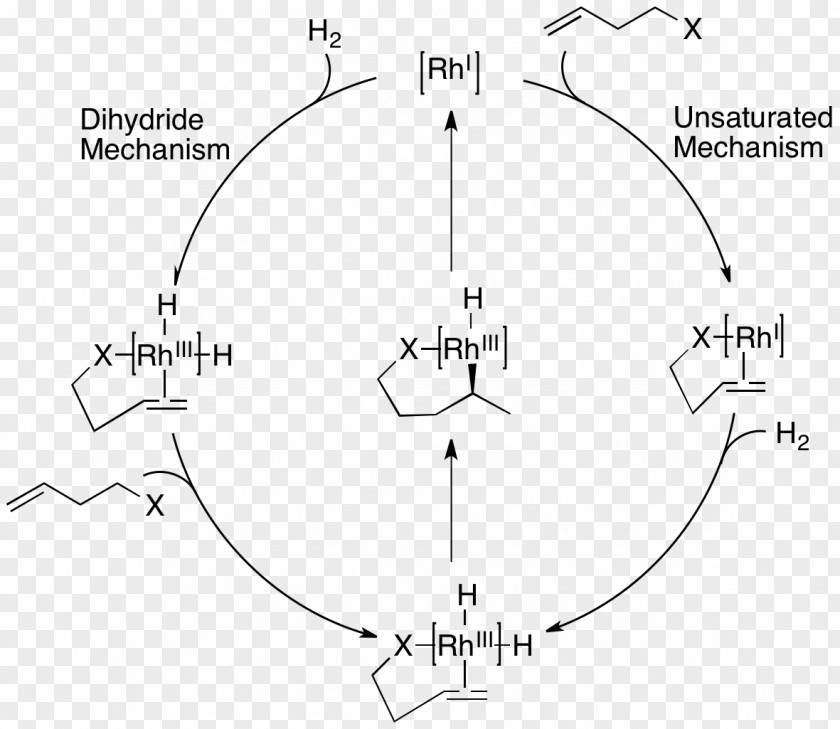 Design Drawing Diagram PNG