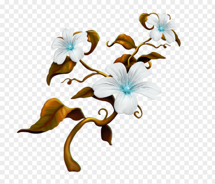 Flower Clip Art PNG