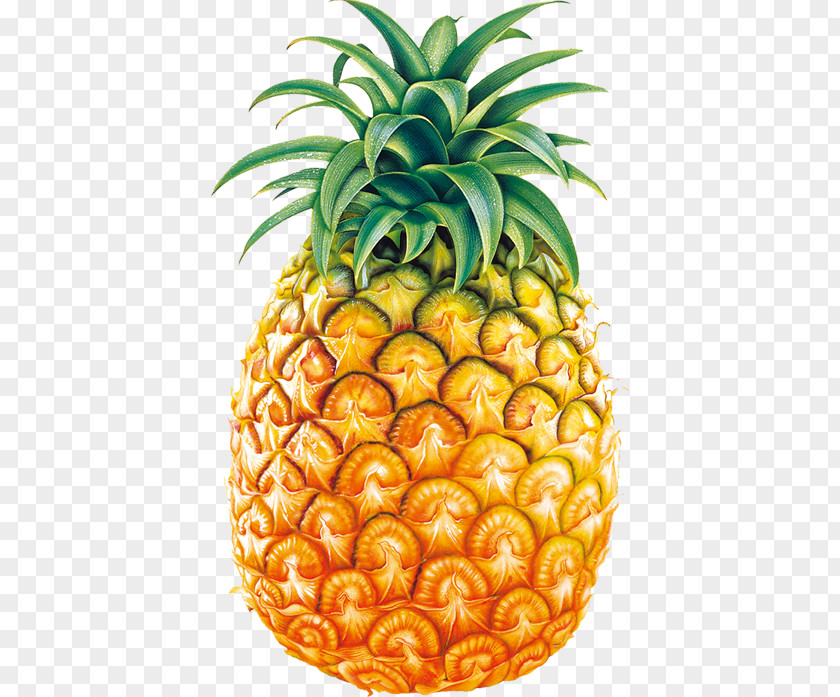 Fruit Juice Pineapple Clip Art PNG