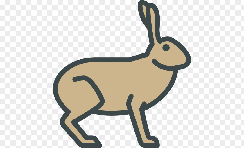 Hare Domestic Rabbit PNG