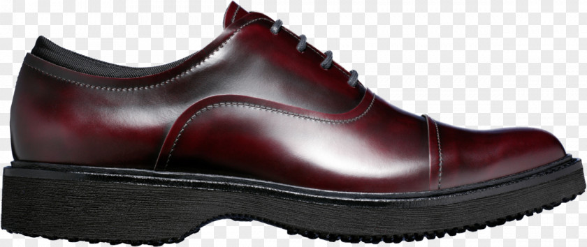 Oxford Shoe Sneakers PNG