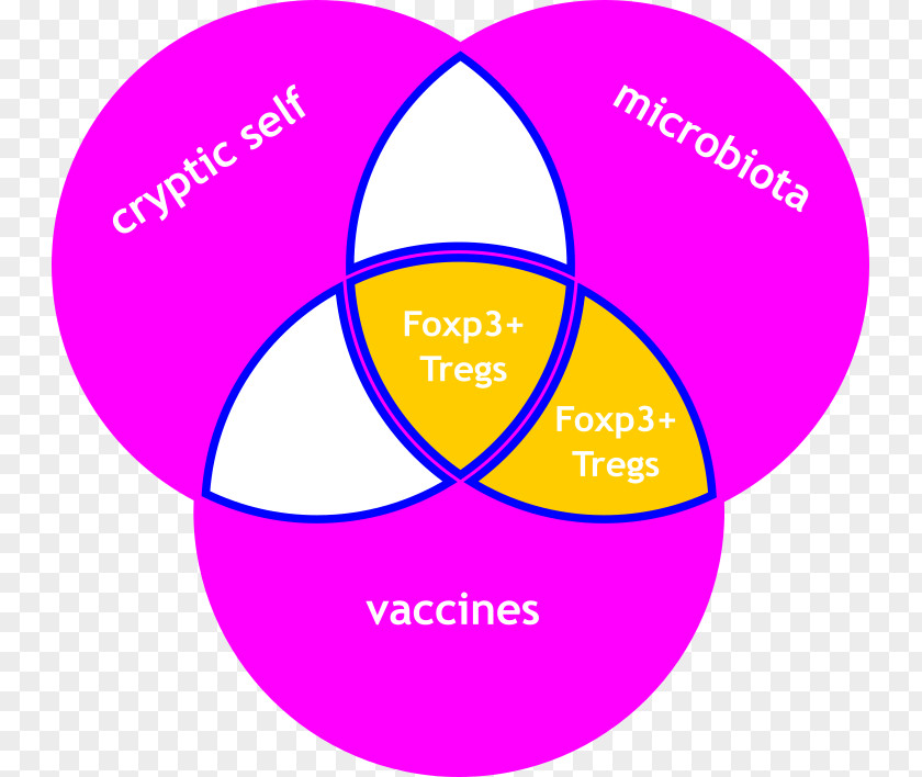 Vaccines Autoimmunity Antigen Autoimmune Disease Vaccine PNG