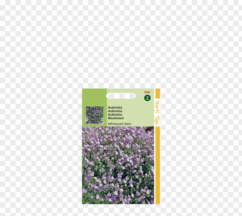 Violet Lavender Aubrieta Gemstone PNG