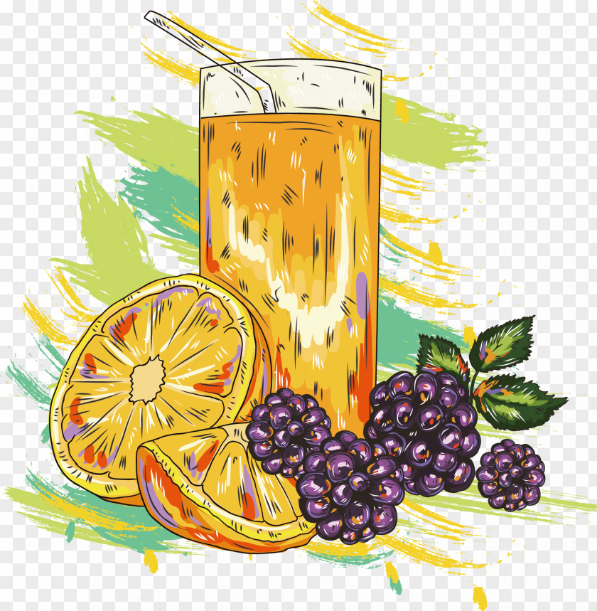 Hand Painted Orange Vector Juice Smoothie Cocktail Fruit PNG