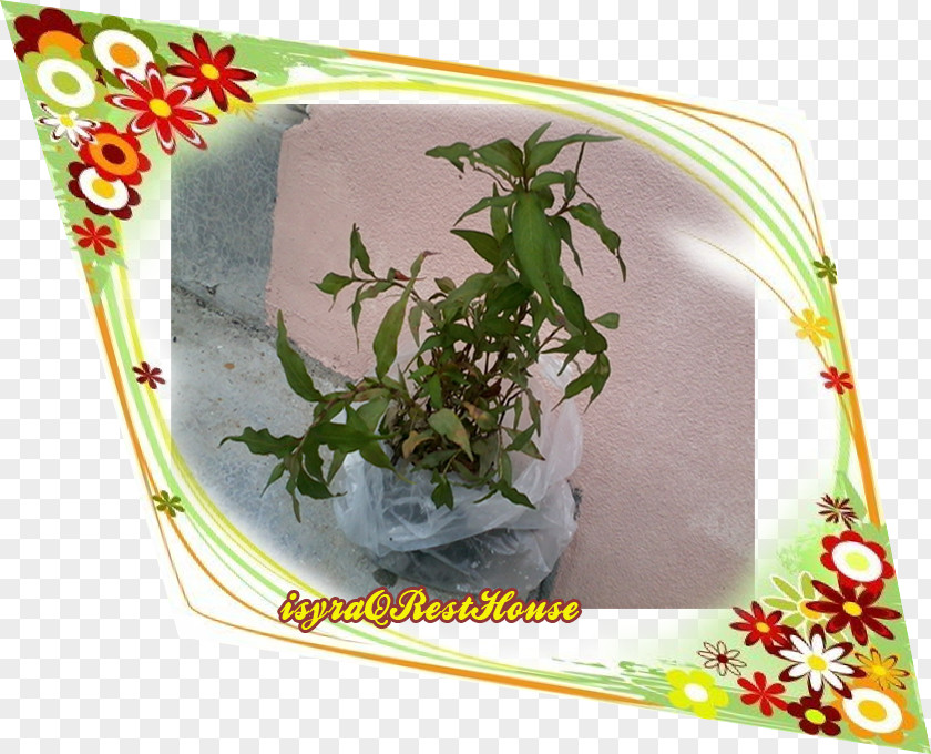 Herb Flowerpot PNG