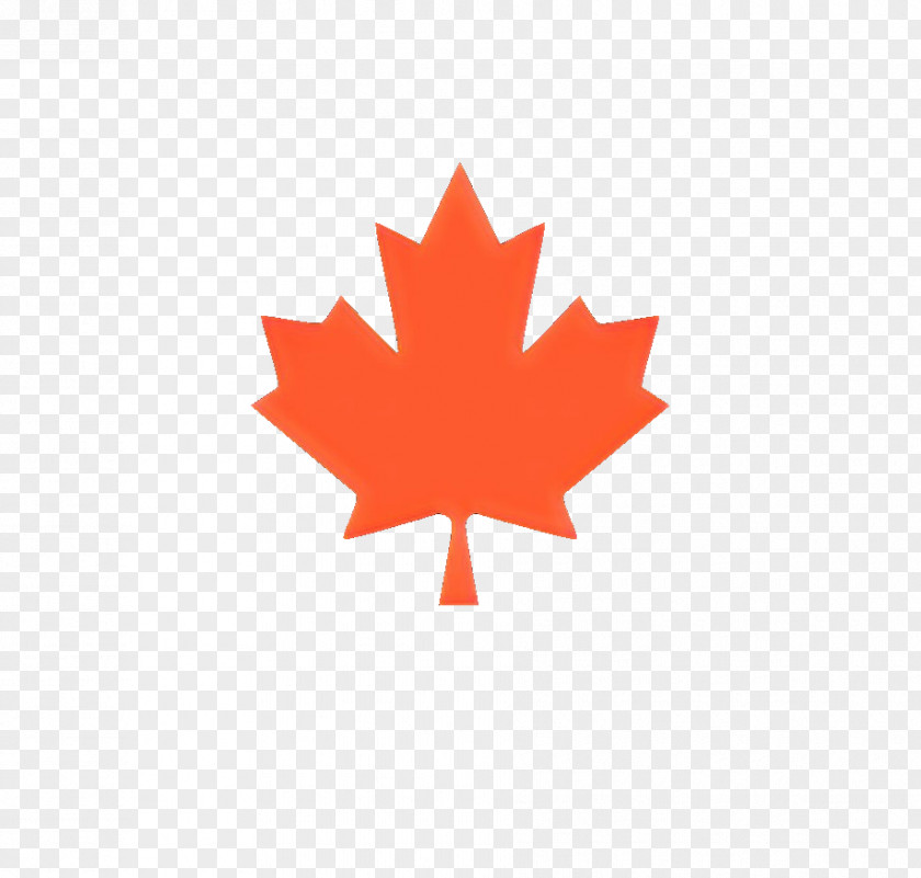 Horwath Consultants Flag Of Canada Stock Photography Vector Graphics PNG