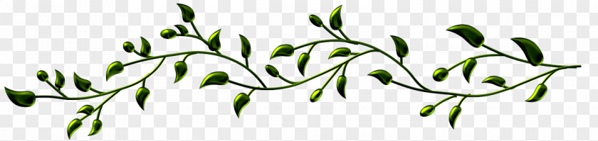 Interflora Bossez Fleurs Membre Genealogy Leaf Branch 0 PNG